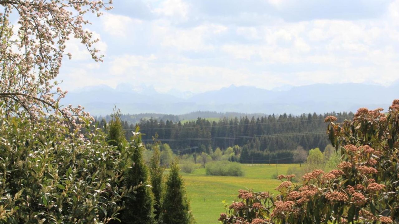 AreaSummer5KM AreaSummer5KM